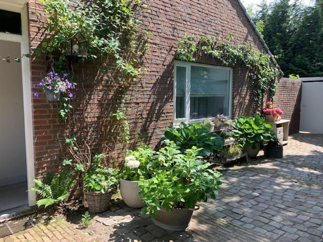 Het Ockhuis Moergestel Bagian luar foto